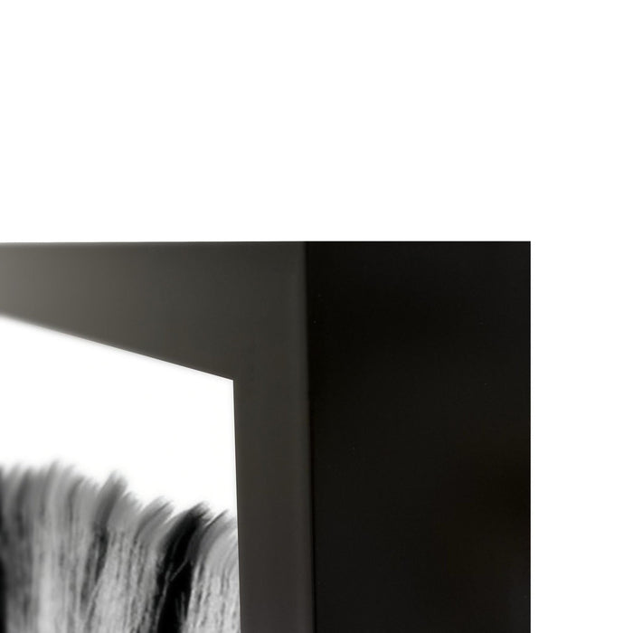 Classic Home - Zebras Photography 48x72 - 560078104872TBS - GreatFurnitureDeal