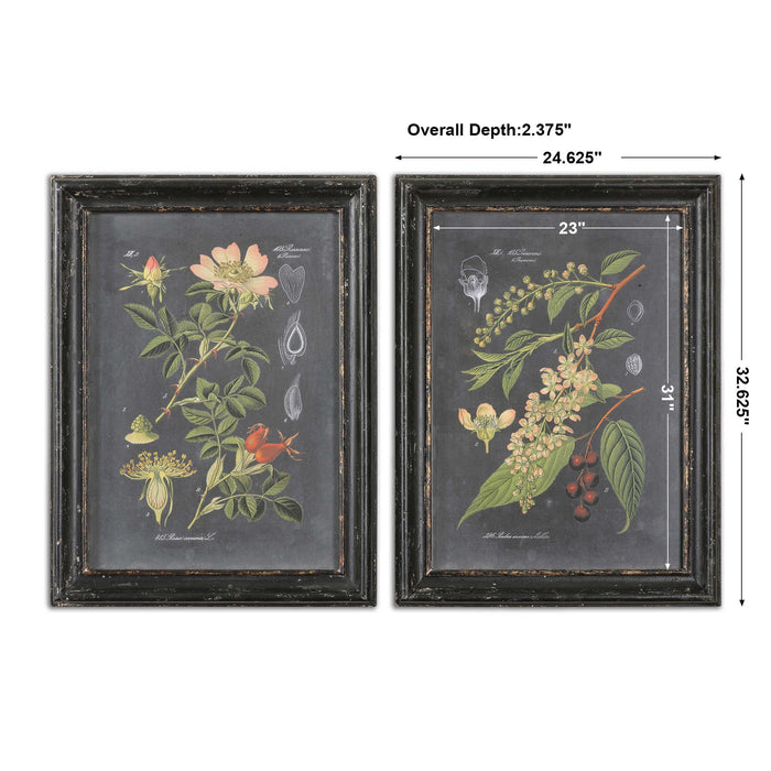 Uttermost - Midnight Botanicals Wall Art S/2 - 56053 - GreatFurnitureDeal