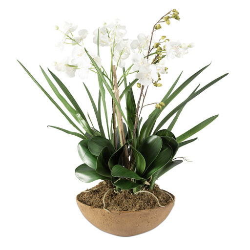 Uttermost - Moth Orchid Planter - 60039 - GreatFurnitureDeal