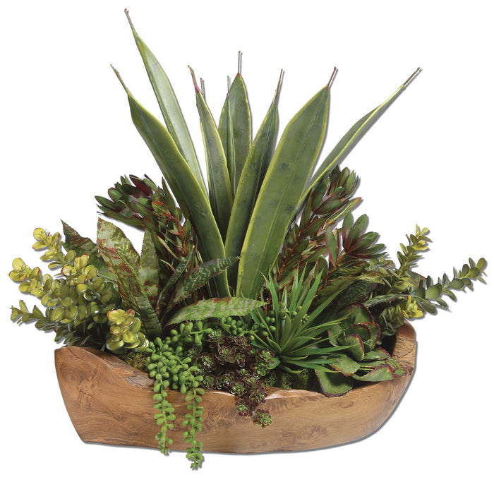 Uttermost - Salar Succulents In Teak Bowl - 60119 - GreatFurnitureDeal
