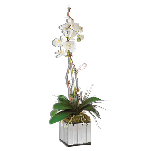 Uttermost - White Kaleama Orchids - 60122 - GreatFurnitureDeal