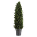 Uttermost - Cypress Cone Topiary - 60139 - GreatFurnitureDeal
