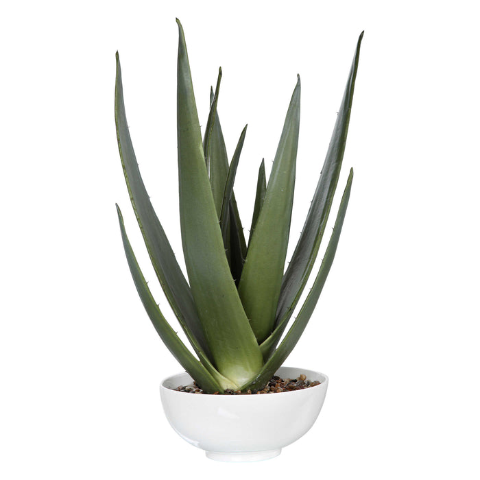 Uttermost - Evarado Aloe Planter - 60177 - GreatFurnitureDeal