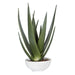 Uttermost - Evarado Aloe Planter - 60177 - GreatFurnitureDeal