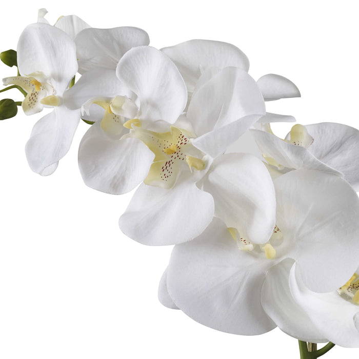 Uttermost - Cami White Orchid - 60178