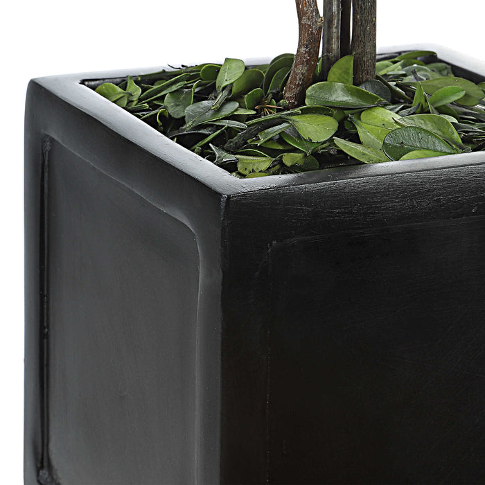 Uttermost - Preserved Boxwood Square Topiaries, S/2 - 60187