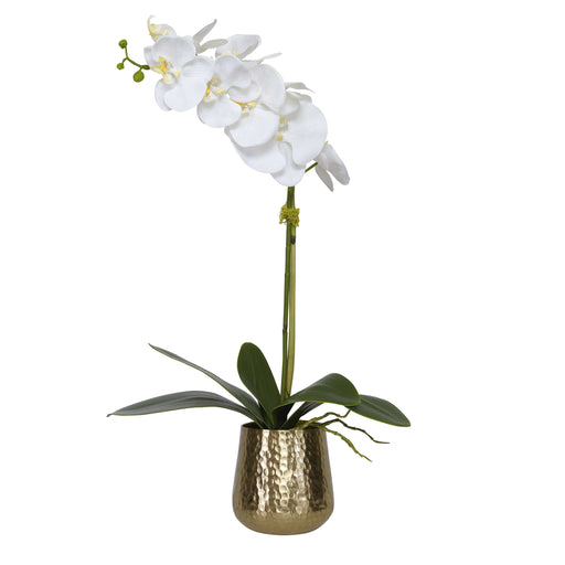 Uttermost - Cami Orchid With Brass Pot - 60189 - GreatFurnitureDeal