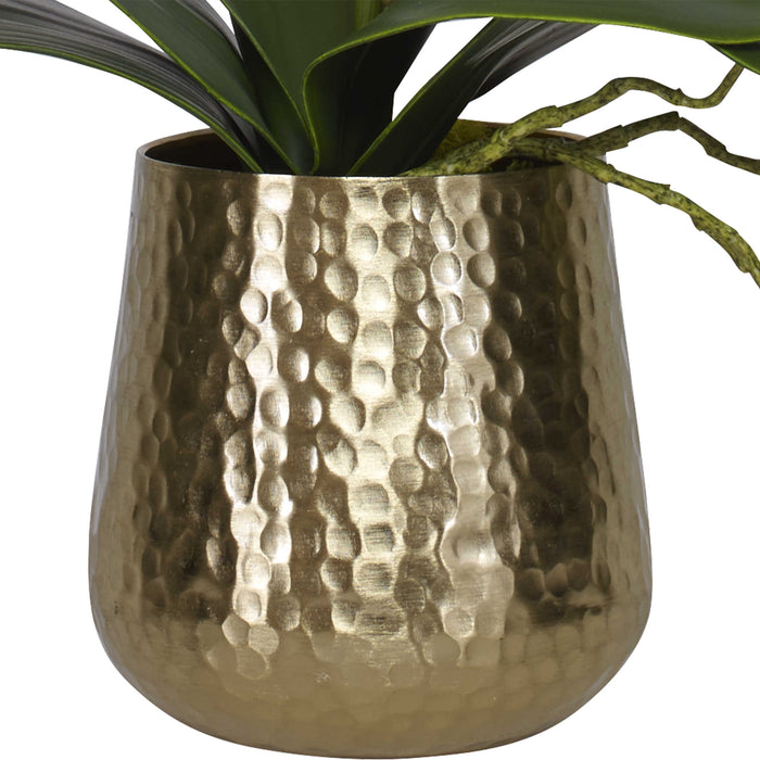 Uttermost - Cami Orchid With Brass Pot - 60189