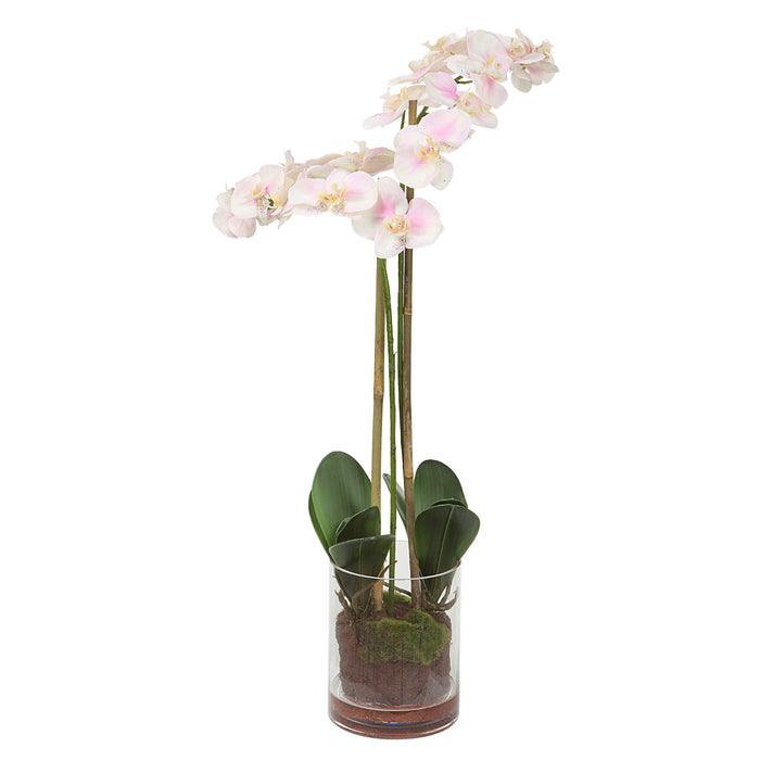 Uttermost - Blush Pink and White Orchid - 60196 - GreatFurnitureDeal
