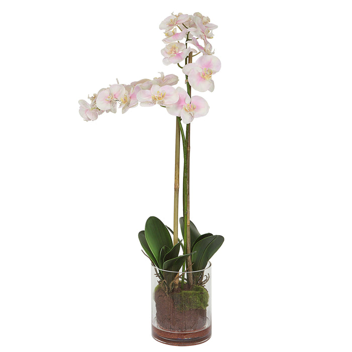 Uttermost - Blush Pink and White Orchid - 60196