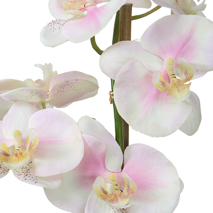 Uttermost - Blush Pink and White Orchid - 60196 - GreatFurnitureDeal