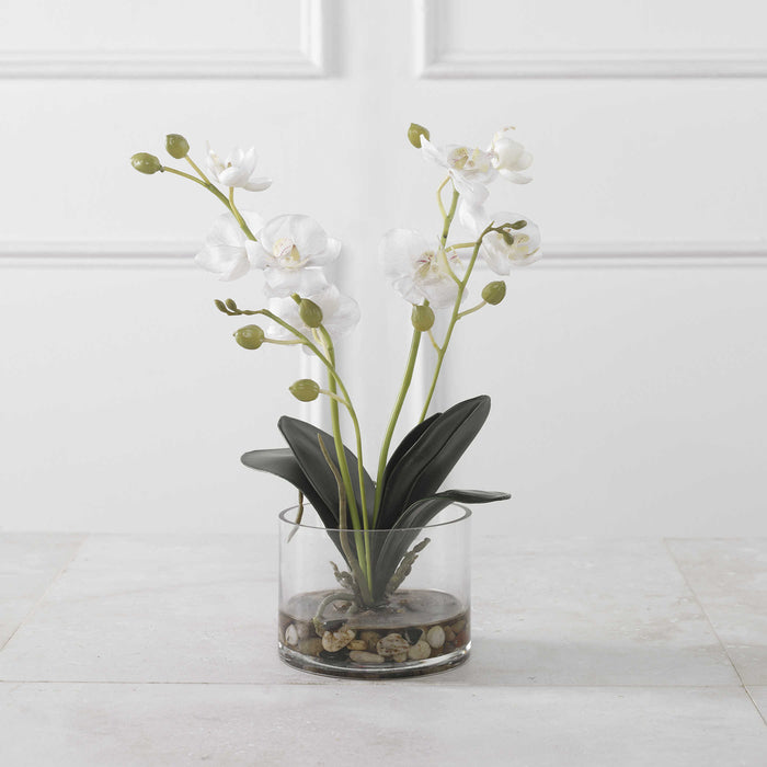 Uttermost - Glory Orchid - 60201