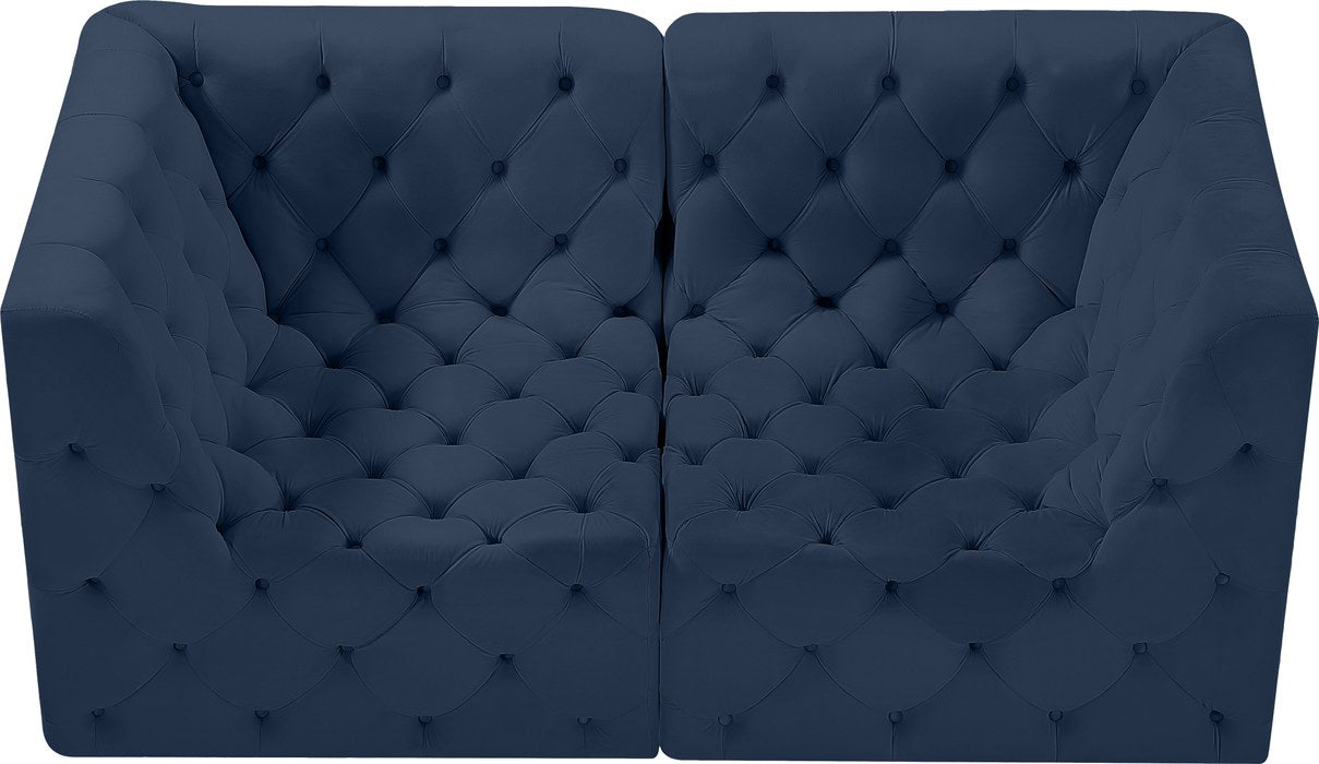 Meridian Furniture - Tuft 70" Navy Velvet Upholstered 2pc. Loveseat - 680Navy-S70 - GreatFurnitureDeal