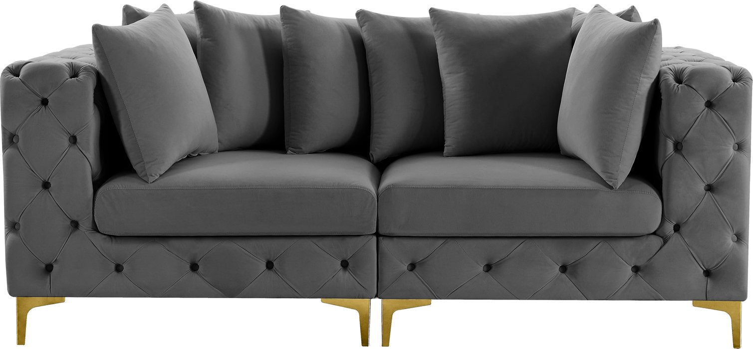 Meridian Furniture - Tremblay 79" Grey Velvet Upholstered 2pc. Sofa - 686Grey-S78 - GreatFurnitureDeal