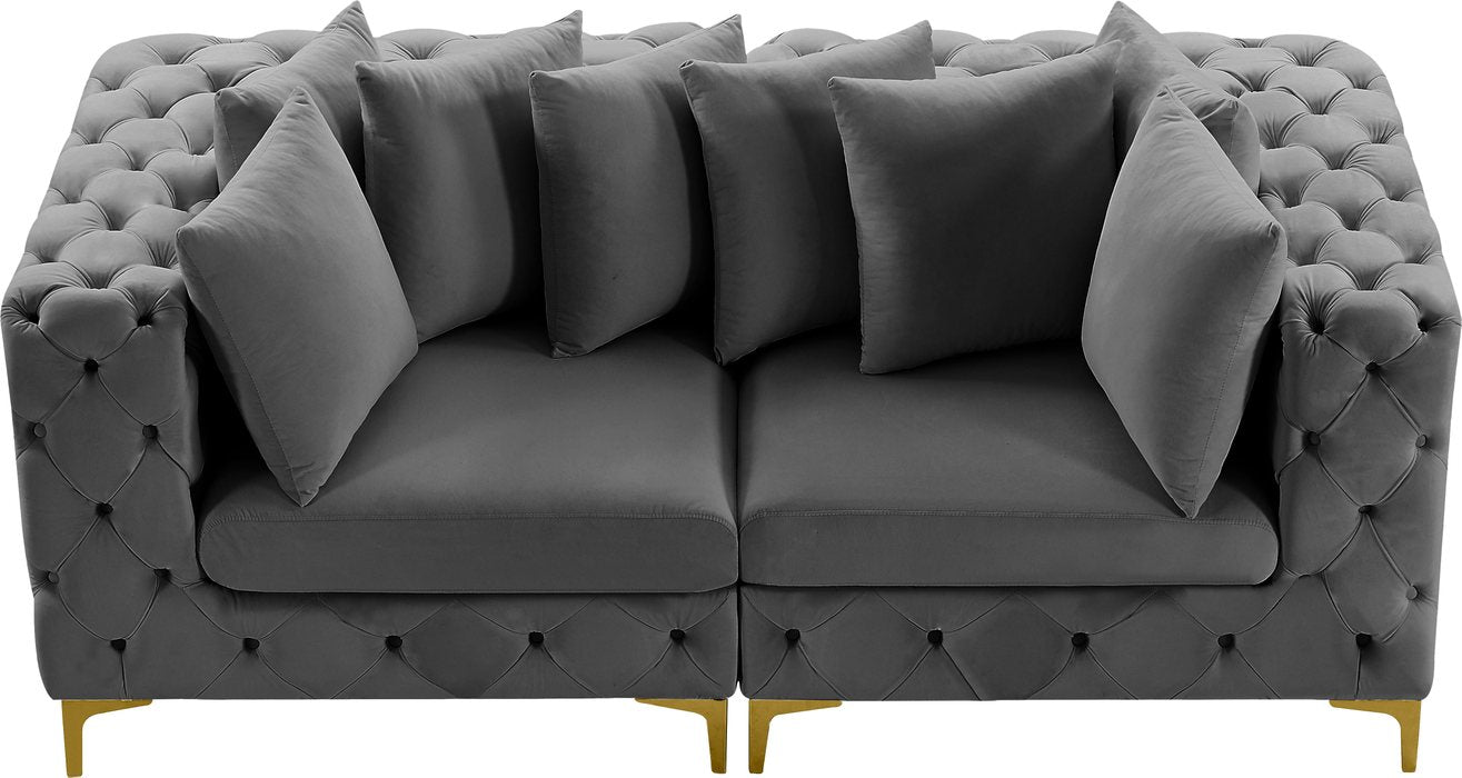 Meridian Furniture - Tremblay 79" Grey Velvet Upholstered 2pc. Sofa - 686Grey-S78 - GreatFurnitureDeal