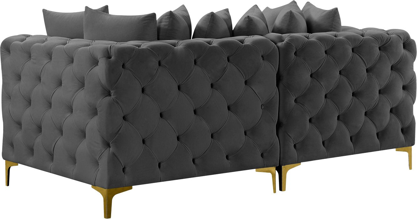 Meridian Furniture - Tremblay 79" Grey Velvet Upholstered 2pc. Sofa - 686Grey-S78 - GreatFurnitureDeal