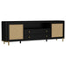 Coaster Furniture - Arini Rattan Cane 2-door TV Stand Media Console in Black - 720263 - GreatFurnitureDeal