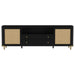 Coaster Furniture - Arini Rattan Cane 2-door TV Stand Media Console in Black - 720263 - GreatFurnitureDeal