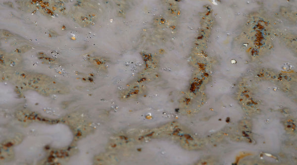 Jamie Young Company - Crustacean Large Bowl - 7CRUS-LGGR - GreatFurnitureDeal