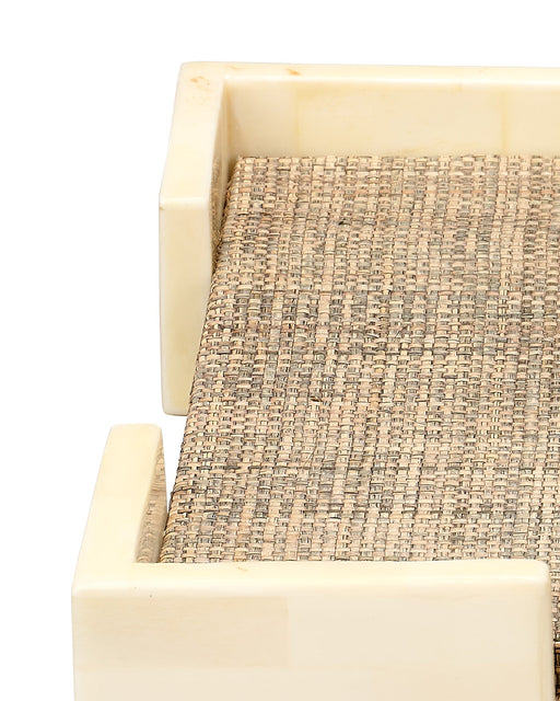 Jamie Young Company - Paradise Bone Tray - 7PARA-TRGR - GreatFurnitureDeal