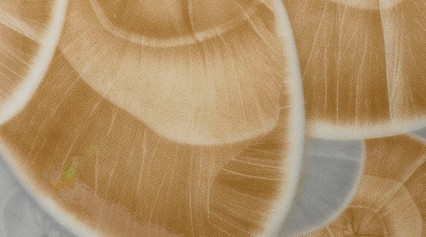 Jamie Young Company - Tranquil Vase - 7TRAN-VABL - GreatFurnitureDeal