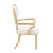 AICO Furniture - Camellia Field Dining Arm Chair in Caramel (Set of 2) - 9090004-134 - GreatFurnitureDeal