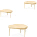 AICO Furniture - Camellia Field Occasional Table Set in Caramel - N9090204-205-134 - GreatFurnitureDeal