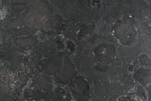 Noir Furniture - Polyhedron Side Table - AM-194BM - GreatFurnitureDeal