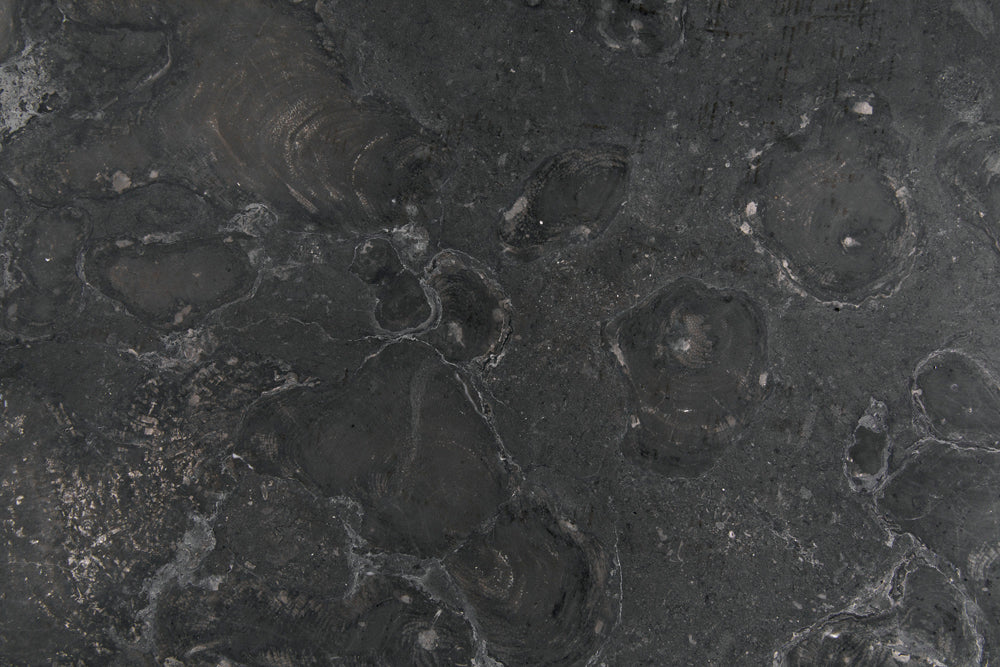 Noir Furniture - Polyhedron Side Table - AM-194BM - GreatFurnitureDeal