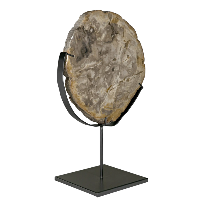 NOIR Furniture - 12" Wood Fossil with Stand - AM-39A