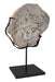 NOIR Furniture - Wood Fossil with Stand, 8" - AM-39C - GreatFurnitureDeal