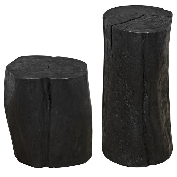 Noir Furniture - Budi Side Table, Set of 2 - AW-46BB-2