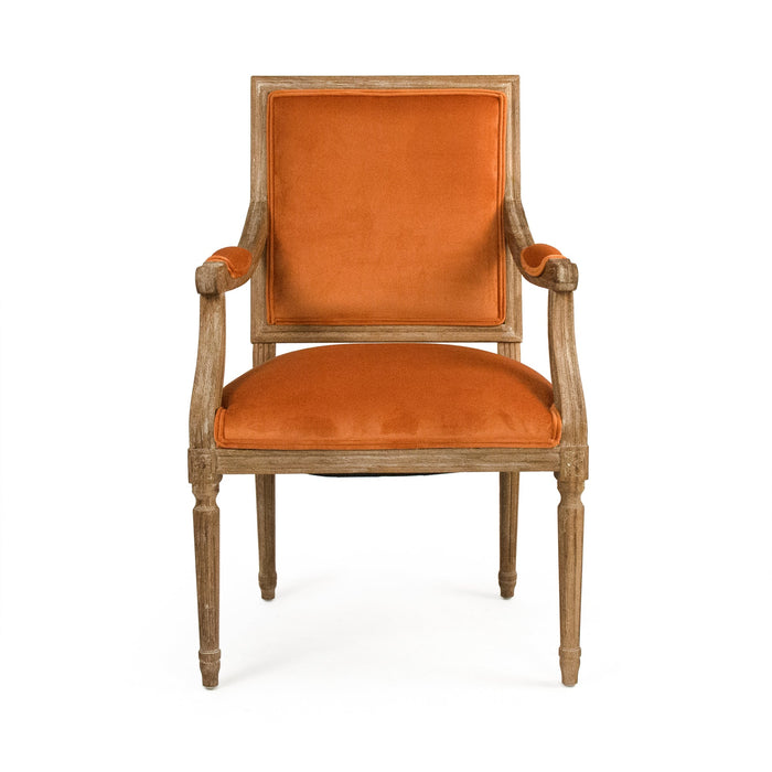 Zentique - Clementine Velvet Louis Arm Chair - B008 E272 11505 - GreatFurnitureDeal