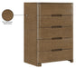 Meridian Furniture - Caswell Brown Oak Veneer And Solid Wood Chest - B1204-CH - GreatFurnitureDeal