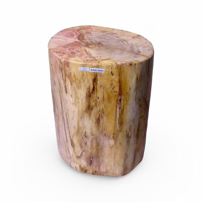 GJ Styles - Petrified Wood Stool - BABS3065