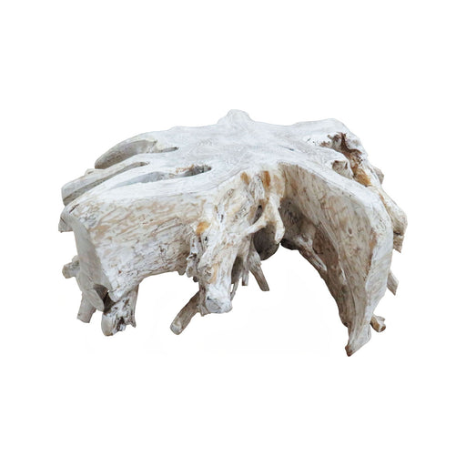 GJ Styles - Teak Root Coffee Table In Washed - BABS4053 - GreatFurnitureDeal