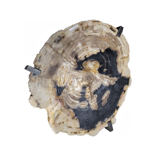 GJ Styles - Petrified Wood Drinks Table - BABS4100 - GreatFurnitureDeal