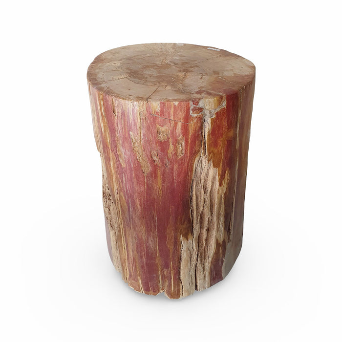 GJ Styles - Petrified Wood Stool - BABS4122