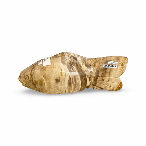 GJ Styles - Petrified Wood Fish - BABS4165 - GreatFurnitureDeal