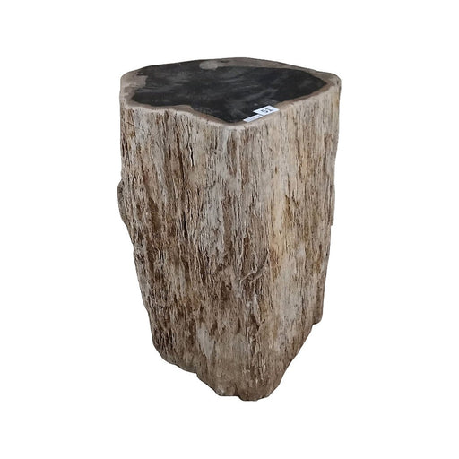 GJ Styles - Petrified Wood Stool - BABS4205 - GreatFurnitureDeal