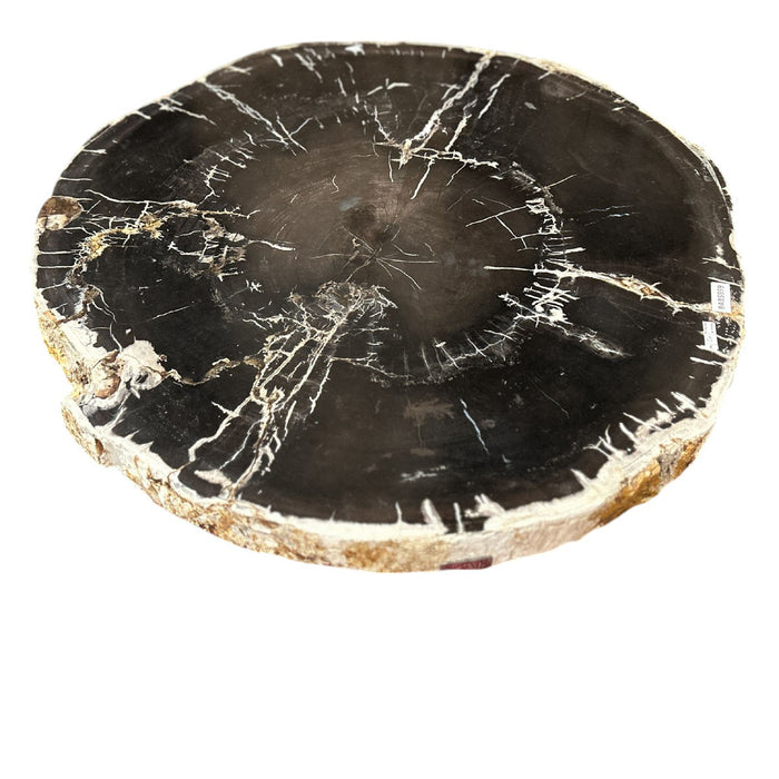 GJ Styles - Petrified Wood Table with Stainless Steel Base - BABS959 - GreatFurnitureDeal