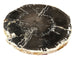 GJ Styles - Petrified Wood Table with Stainless Steel Base - BABS959 - GreatFurnitureDeal