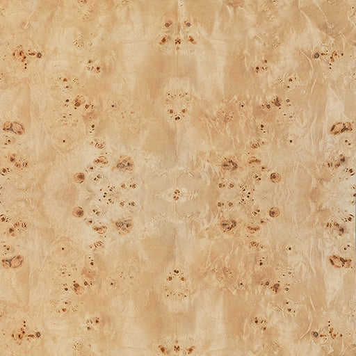 Worlds Away - Jordan Six Drawer Console With Open Shelf In Burl Wood With Polished Brass Knobs - JORDAN BW - GreatFurnitureDeal