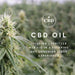 Malouf - Zoned ActiveDough™ + CBD Oil Pillow - GreatFurnitureDeal