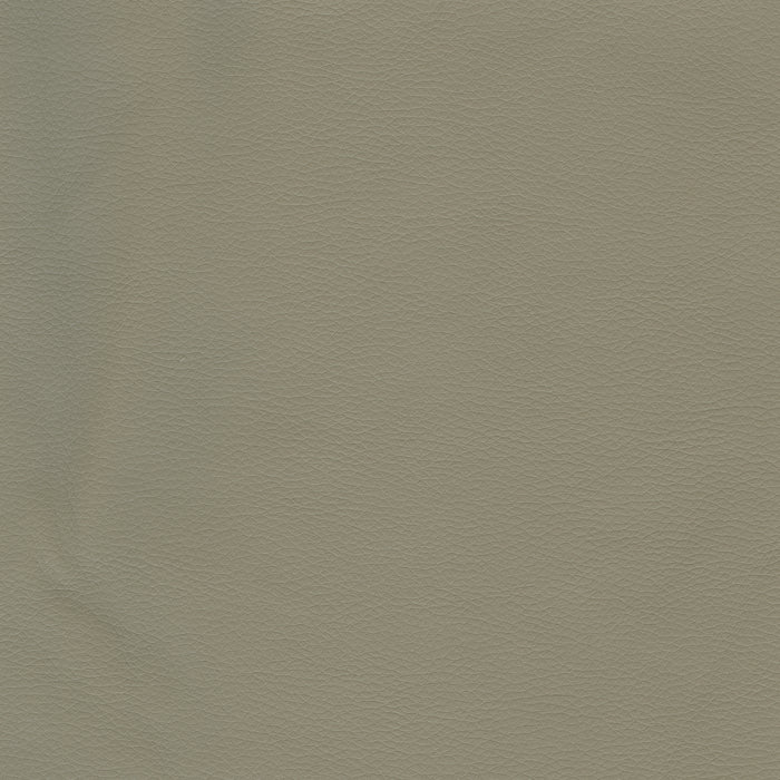 Nativa Interiors - Moyra Vertical Channel Tufted Eco-Leather Low 47" California King Stone Bed - BED-MOYRA-VC-LOW-CA-VIN-STONE - GreatFurnitureDeal