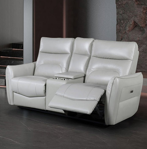 Furniture of America - Terentius Power Loveseat in Taupe - FM69006TP-LV-PM - GreatFurnitureDeal