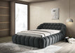 Furniture of America - Newquay Queen Bed in Charcoal - FM7260BK-Q - GreatFurnitureDeal
