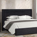 Furniture of America - Hildesheim King Bed in Black - FM73000BK-P-EK - GreatFurnitureDeal