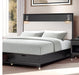 Furniture of America - Torrance King Bed in Black - FM74002BK-ST-EK - GreatFurnitureDeal