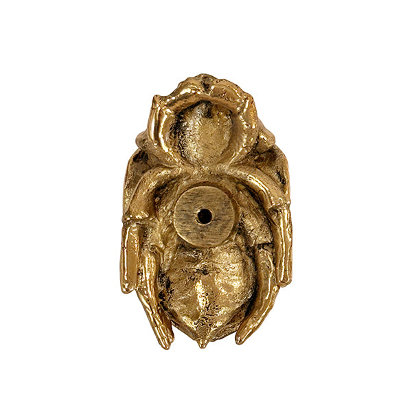 Worlds Away - Beetle Knob In Brass - FORTUNE HABR - GreatFurnitureDeal
